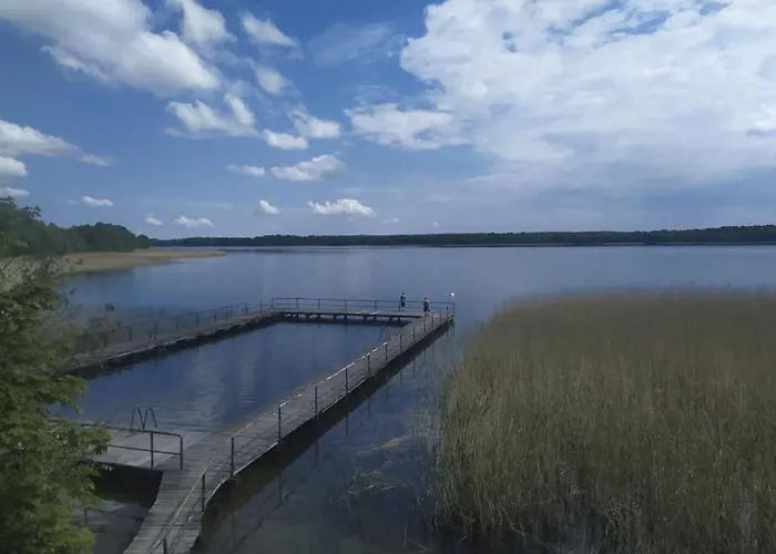 Apartament Dabrowno Домбрувно