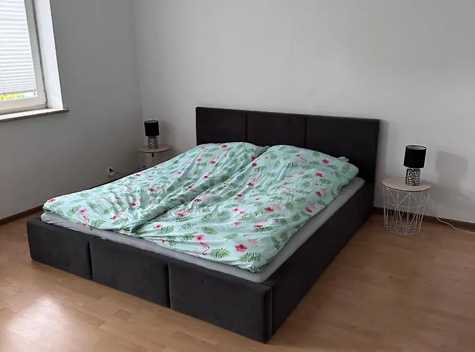 Апартаменты Apartament Dabrowno